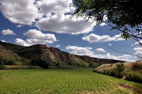 cultivos en las islillas