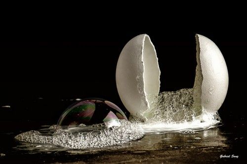 Bodegon conceptual, cascaras de huevo,   espuma y pompas